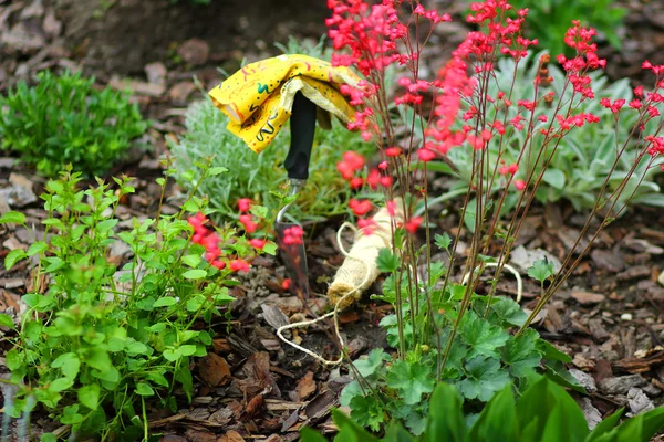 旁边红色的花朵在花园园艺工具 — 图库照片