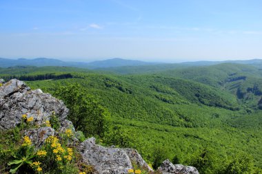 yeşil ormanlık tepelerde dağ