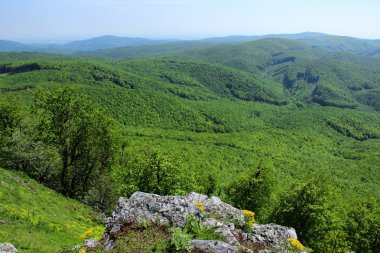 dağ manzarasına peyzaj