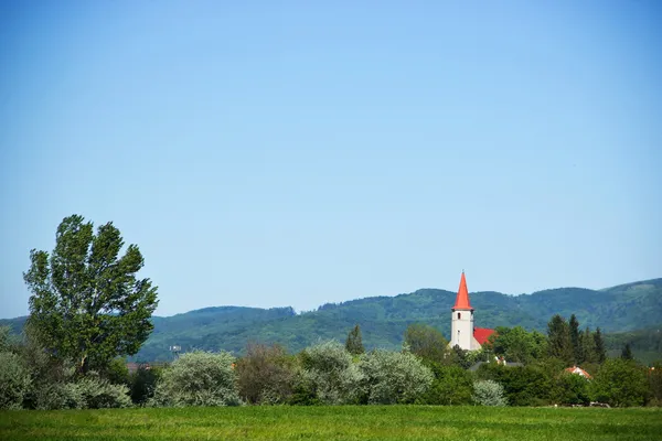 Kerk achter de bomen — Stockfoto