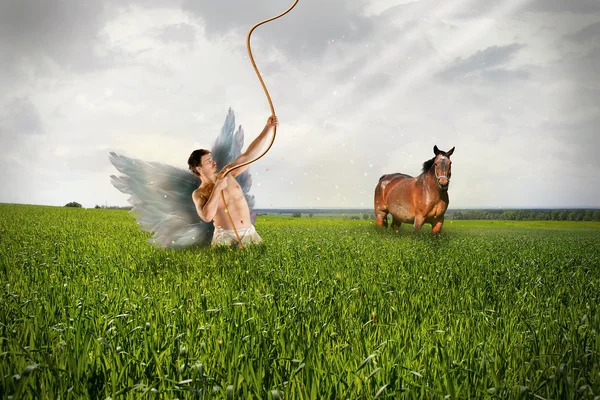Angel and Horse on Grassfield — Stock Photo, Image