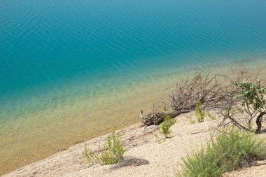 Ağaç Kereste sahilde