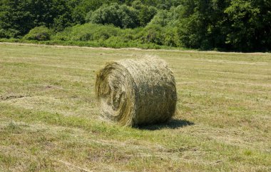 saman baled paketi