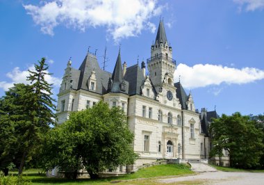 Coutryside Chateau 