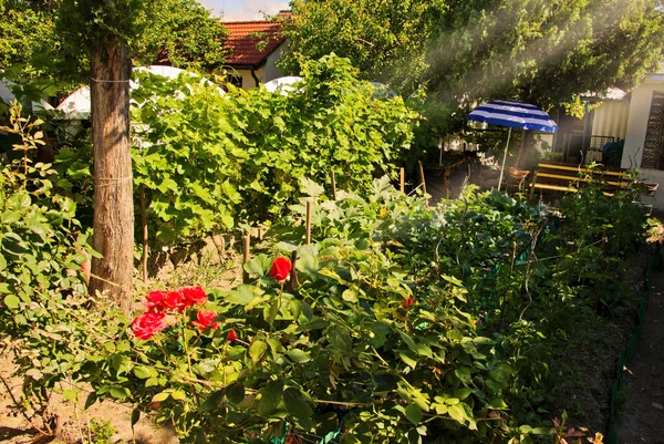 Tezgah ve güneş şemsiyesi Bahçe — Stok fotoğraf