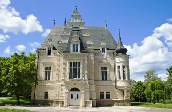 Gothic Chateau — Stock Photo, Image