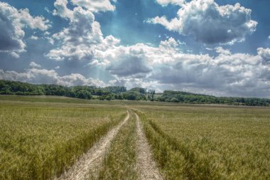 kırpma alanı şeritli yolda