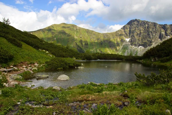 Lago cego com banco — Fotografia de Stock