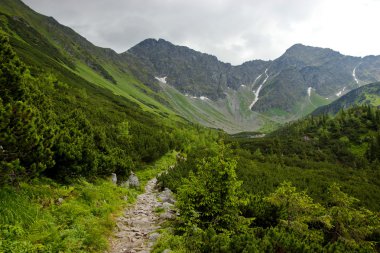 dağ iz pikes için