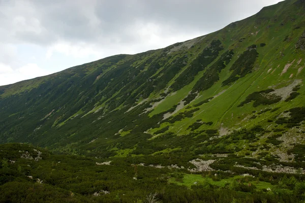 Green Hill — Stock Photo, Image