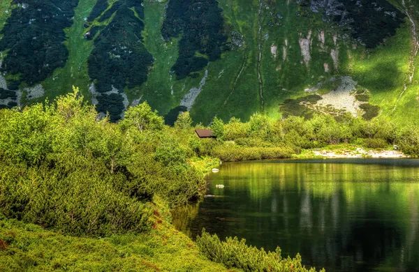 ทะเลสาบคอทเทจ — ภาพถ่ายสต็อก