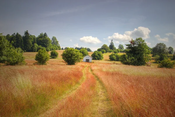 Cappella solitaria sul campo di erba rossa — Foto Stock