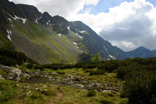 Mountain brook med stenblock — Stockfoto