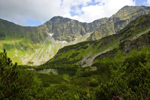 Blind sjö med dvärg Pine — Stockfoto