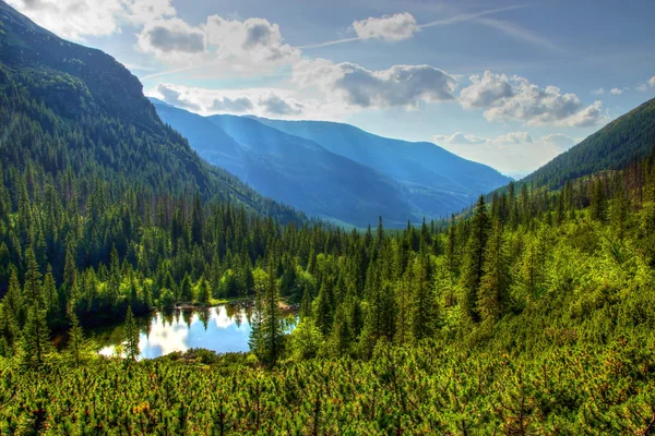 Lago cieco Circondato da colline boschive — Foto Stock