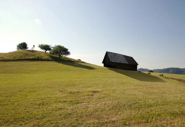 Bom dia. — Fotografia de Stock