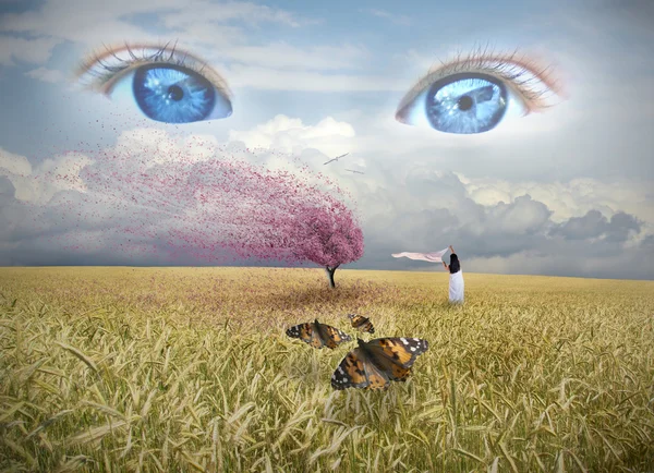 Praying Woman on Grainfield — Stock Photo, Image