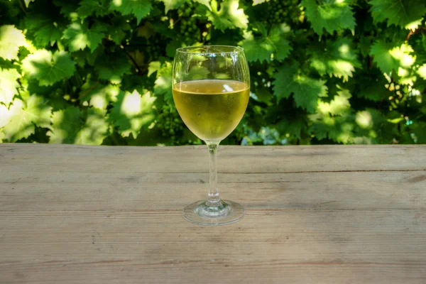 Glas av vinstockar med vinrankor i bakgrunden — Stockfoto