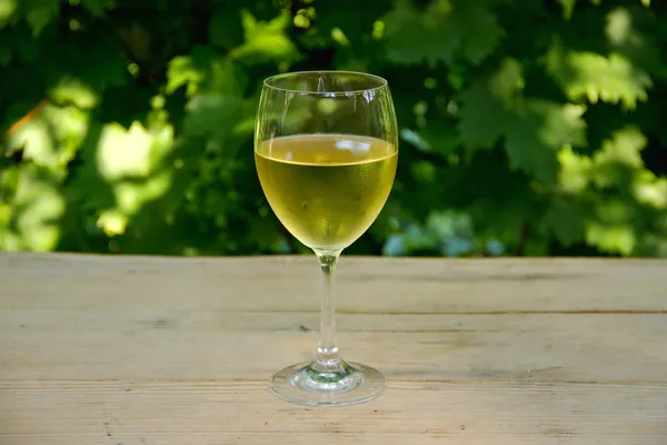 Ποτήρι λευκό κρασί με αμπέλι στο παρασκήνιο — Stockfoto