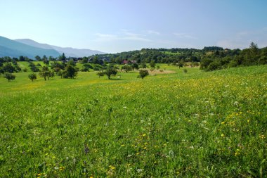 Küçük meyve Grove tarafından çevrili Köyü