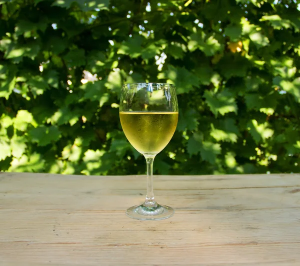 Ångande glas vitt vin — Stockfoto
