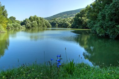 Ağaçlarla çevrili göl