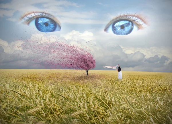 Praying Woman on Grainfield — Stock Photo, Image