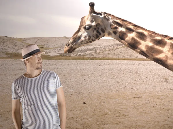 Man and Giraffe — Stock Photo, Image