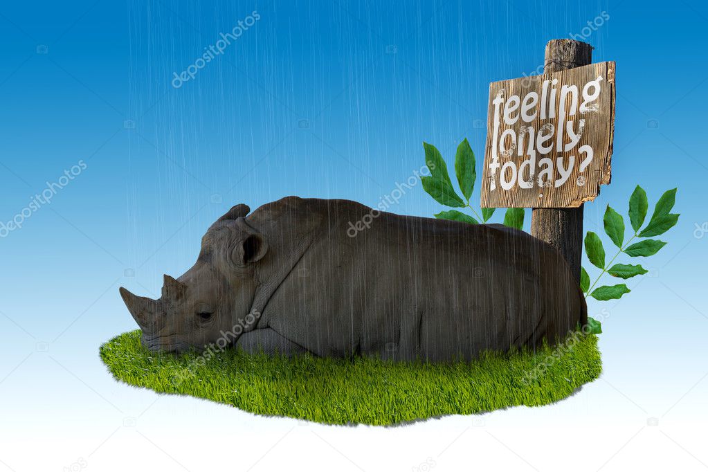 Sad Rhino