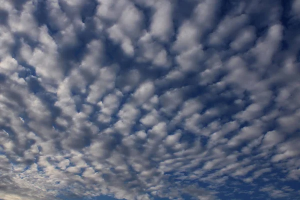 Algodão Incomum Nuvens Brancas Fofas Céu Azul Brilhante — Fotografia de Stock