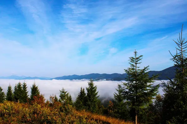 Mountains Forest Clouds — Stock Photo, Image