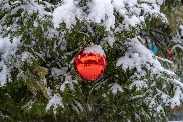 Karácsony Újév Dekorációk Piros Golyók Lóg Egy Lucfenyő Borított — Stock Fotó