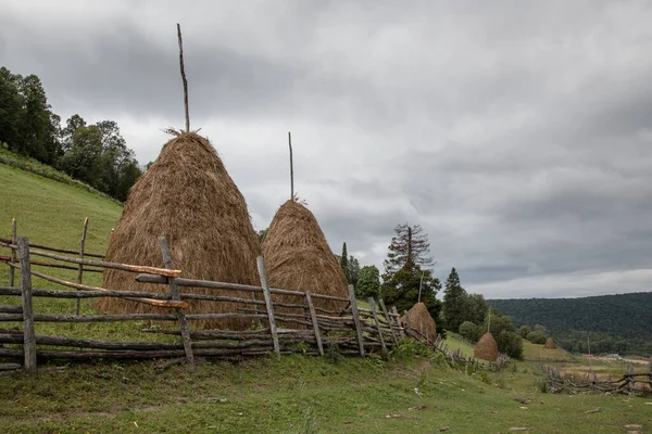 Dağdaki saman yığınları. Otlaklar ahşap çitlerle ayrılır..