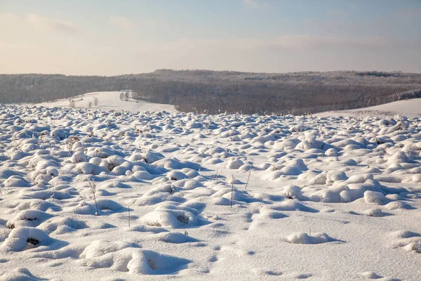Сніг Вкривав Пагорби Ясний Сонячний День Ліс Відстані — стокове фото
