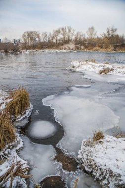 Unfrozen river in winter. Chunks of ice float in the water near the shore