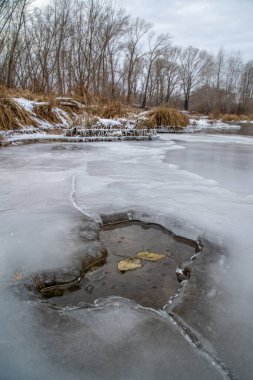 A small non-freezing section of the river in winter. An autumn leaf floats on the water.