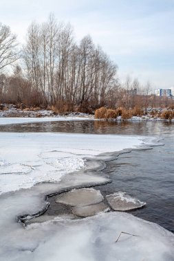 Unfrozen river in winter. Chunks of ice float in the water near the shore. Trees and a plant in the background.