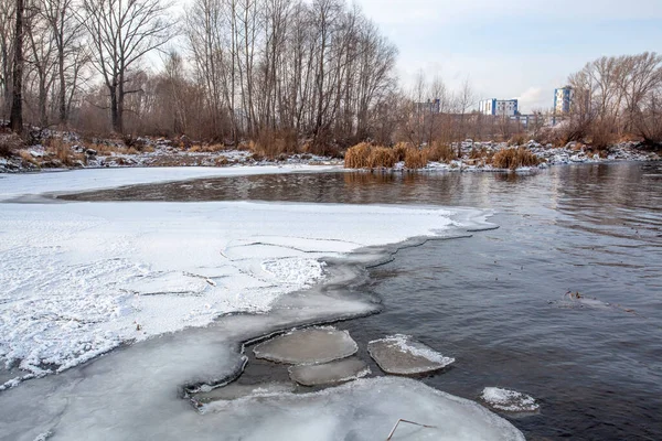 Unfrozen River Winter Chunks Ice Float Water Shore Trees Plant — Foto de Stock