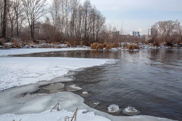 Unfrozen River Winter Chunks Ice Float Water Shore Trees Plant — Fotografia de Stock