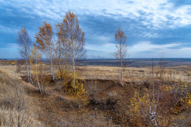 Kuru sonbahar otları ve seyrek ağaçlarla kaplı tepeler. Bulutlu gökyüzü.