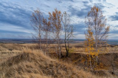 Kuru sonbahar otları ve seyrek ağaçlarla kaplı tepeler. Bulutlu gökyüzü.