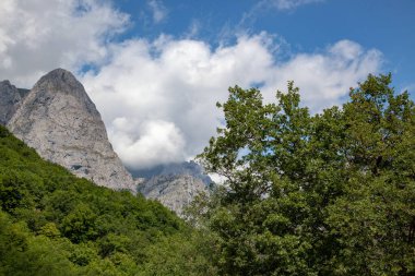 Alçak bulutlarla kaplı Pireneler 'in kayalık tepelerinin manzarası. Önplanda yeşil ağaçlar.