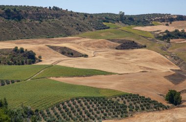 Tepe noktasından itibaren farklı ekinlere sahip tarım arazileri.