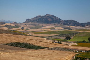 Tepe noktasından itibaren farklı ekinlere sahip tarım arazileri. Uzakta, sisin içinde dağlar. Tarlalar arasında nadir evler.