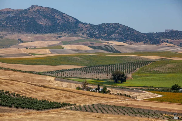 Campos Agrícolas Com Diferentes Culturas Uma Área Montanhosa Ponto Superior Imagem De Stock