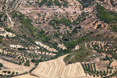 İspanya 'da, dağların vadisine ve tepelere dağılmış zeytin bahçeleri..