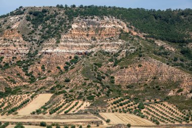 İspanya 'da, dağların vadisine ve tepelere dağılmış zeytin bahçeleri..