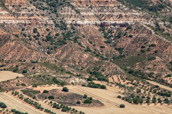 산골짜기 흩어져 스페인의 올리브 과수원 스톡 사진