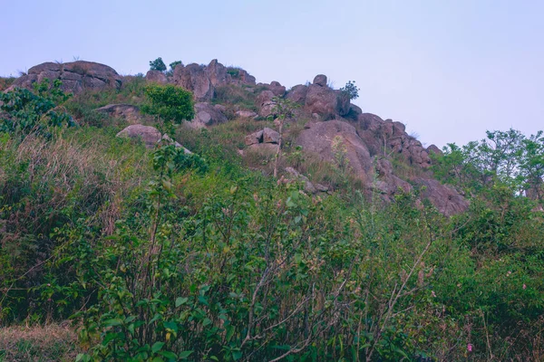 Bäume Und Felsen Entlang Des Geländes Den Shevaroy Hills Yercaud — Stockfoto