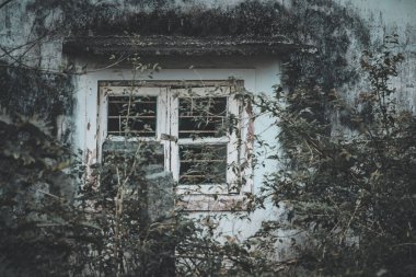 Yercaud, Hindistan 'da bir orman alanının ortasındaki eski bir evin kırık penceresinin görüntüsü.